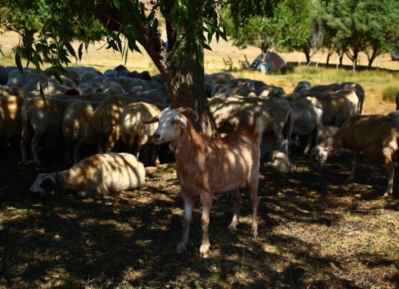 20251029163332_download