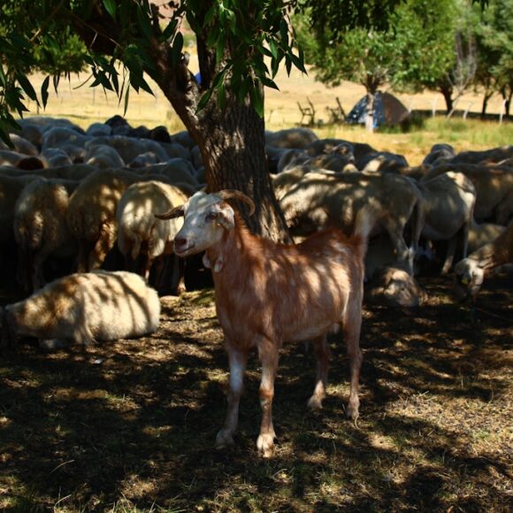 20251029163332_download